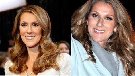 celine dion couple vrai ou faux